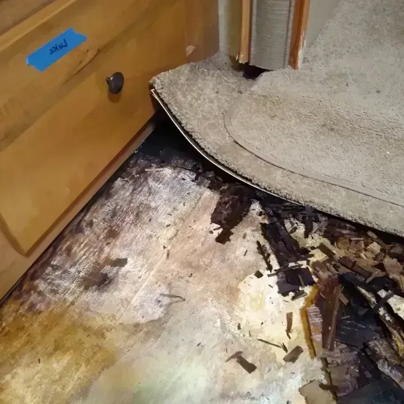 Best Wood Floor Water Damage Service in Hudson, IL